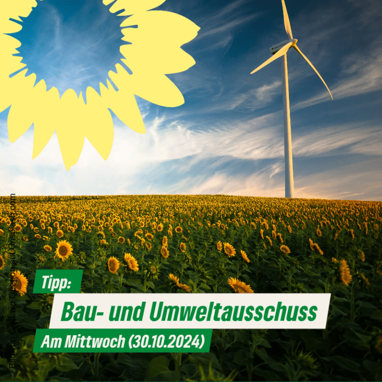 Hinweis auf den Bau- und Umweltausschuss